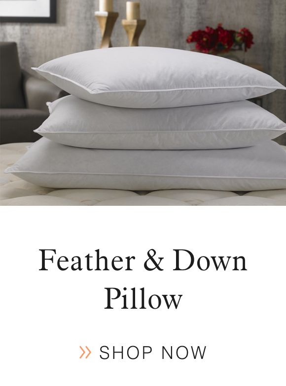 Marriott and Down Pillow.